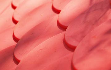 Colney plastic roof costs